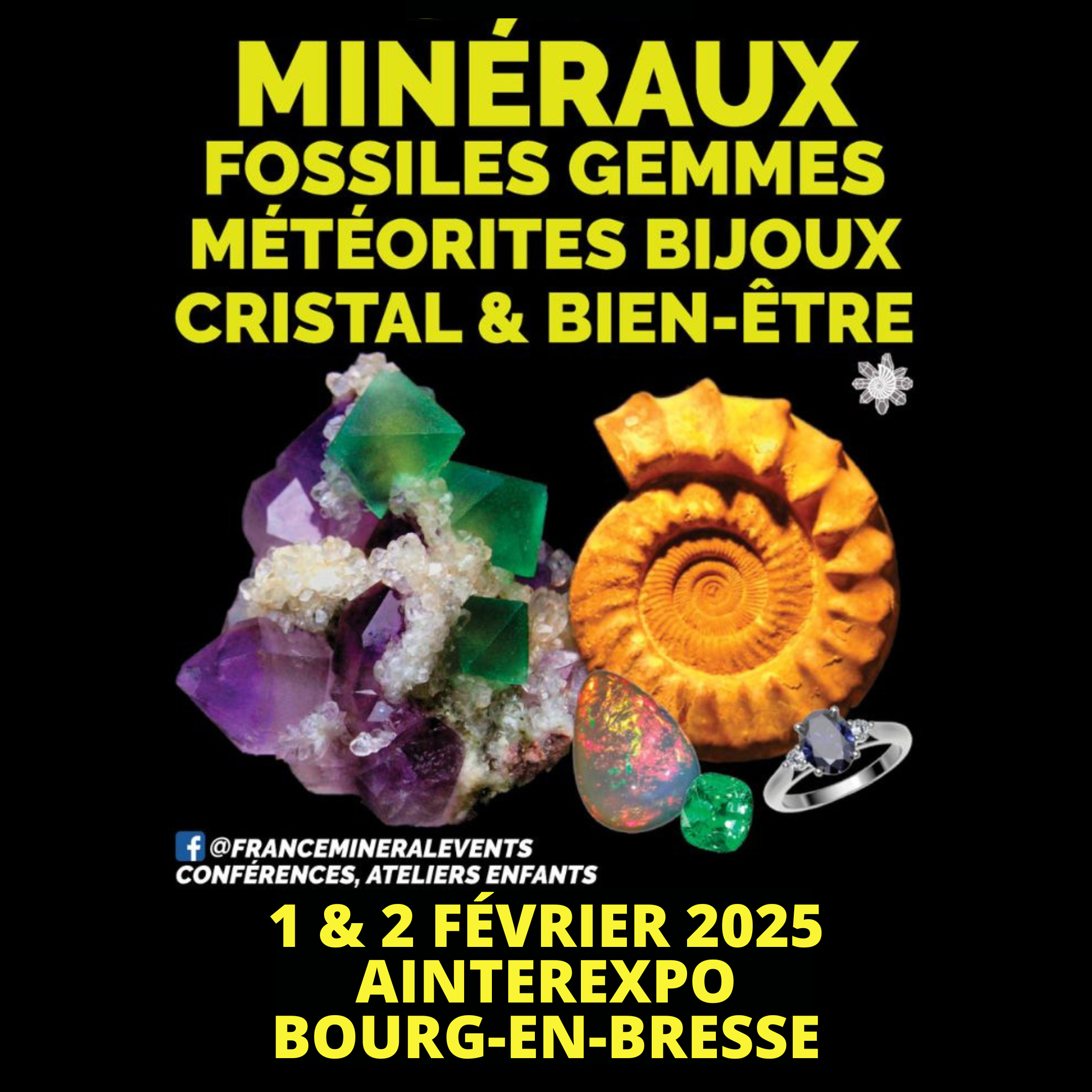 Salon Mineralevent